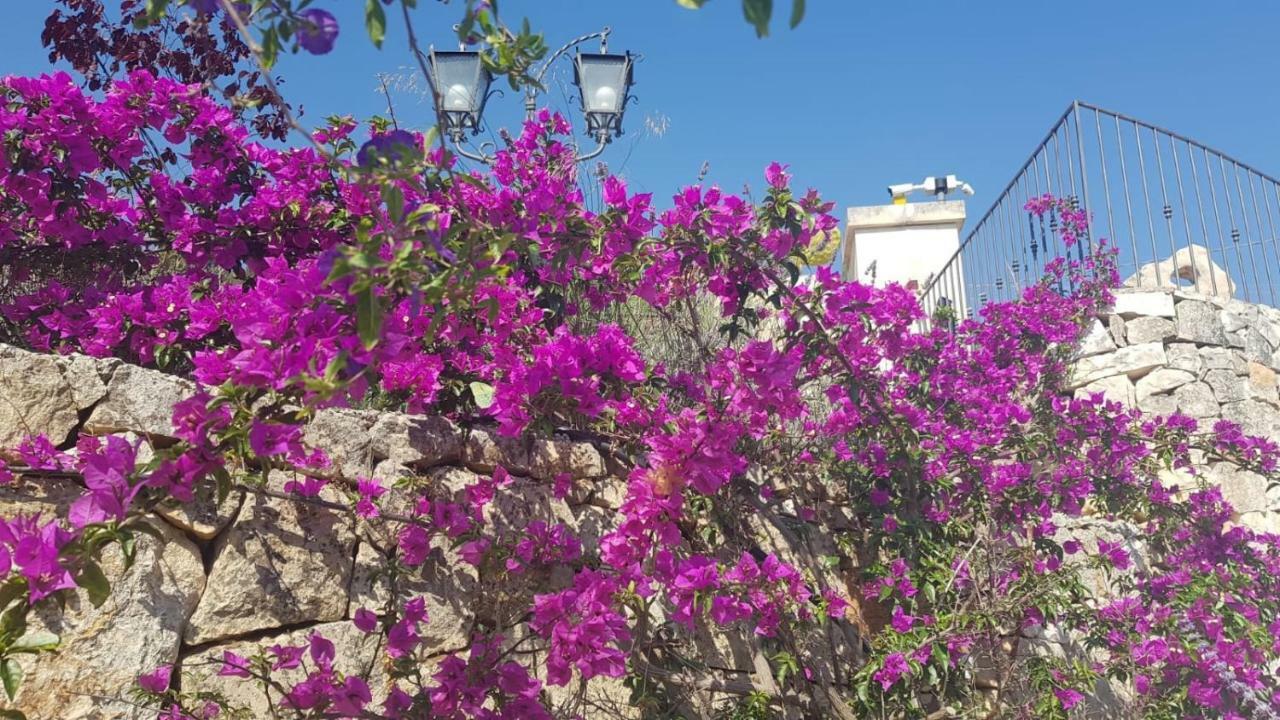 Guest House B&B Pietra Bianca Ostuni Extérieur photo